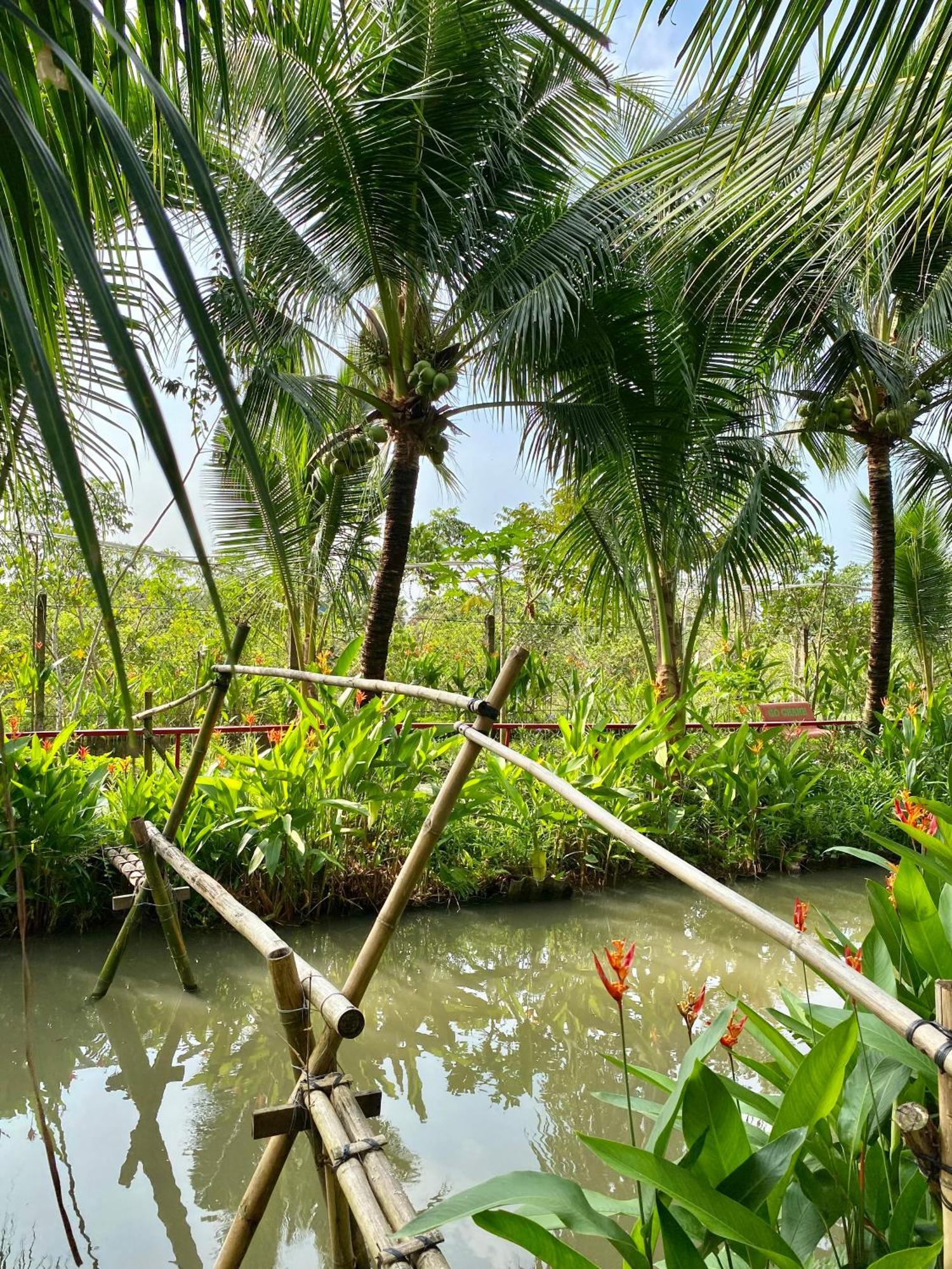 Homestay Go Chanh Cai Rang
